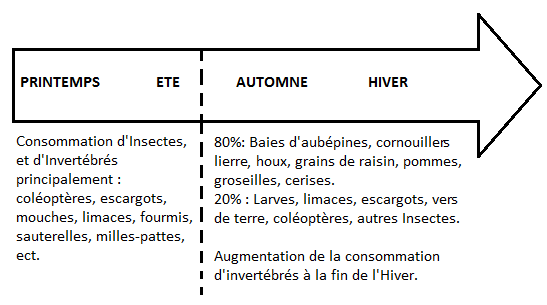 © Alimentation